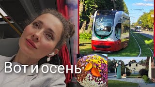 видео: 1 сентября 2025 г.🍂Осень пришла/🏫Молодежь гуляет🎈/Лиепая, 🚍дорога картинка: 1 сентября 2025 г.🍂Осень пришла/🏫Молодежь гуляет🎈/Лиепая, 🚍дорога