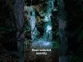 Peaceful River & Waterfall Sounds 🌿 #shorts