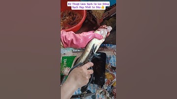 Kỹ Thuật Làm Sạch Cá Lóc Đồng Nhanh Và Đơn Giản Nhất 👍 #shorts