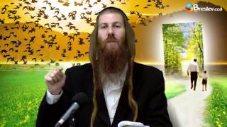 [17] La Torá – Las Leyes de la Vida / En el Jardín de la Fe || Rab Yonatán D. Galed