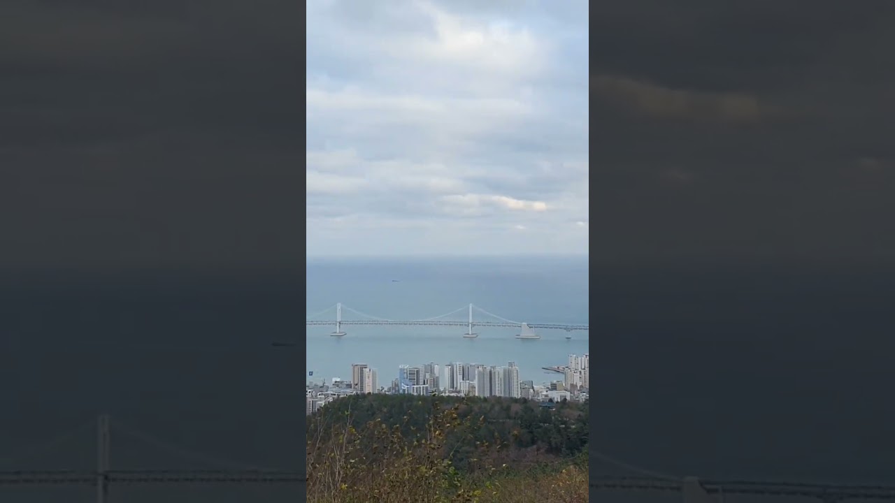 부산 금련산에서 바라본 광안대교