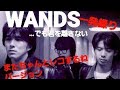 WANDS ...でも君を離さない【一発録り】