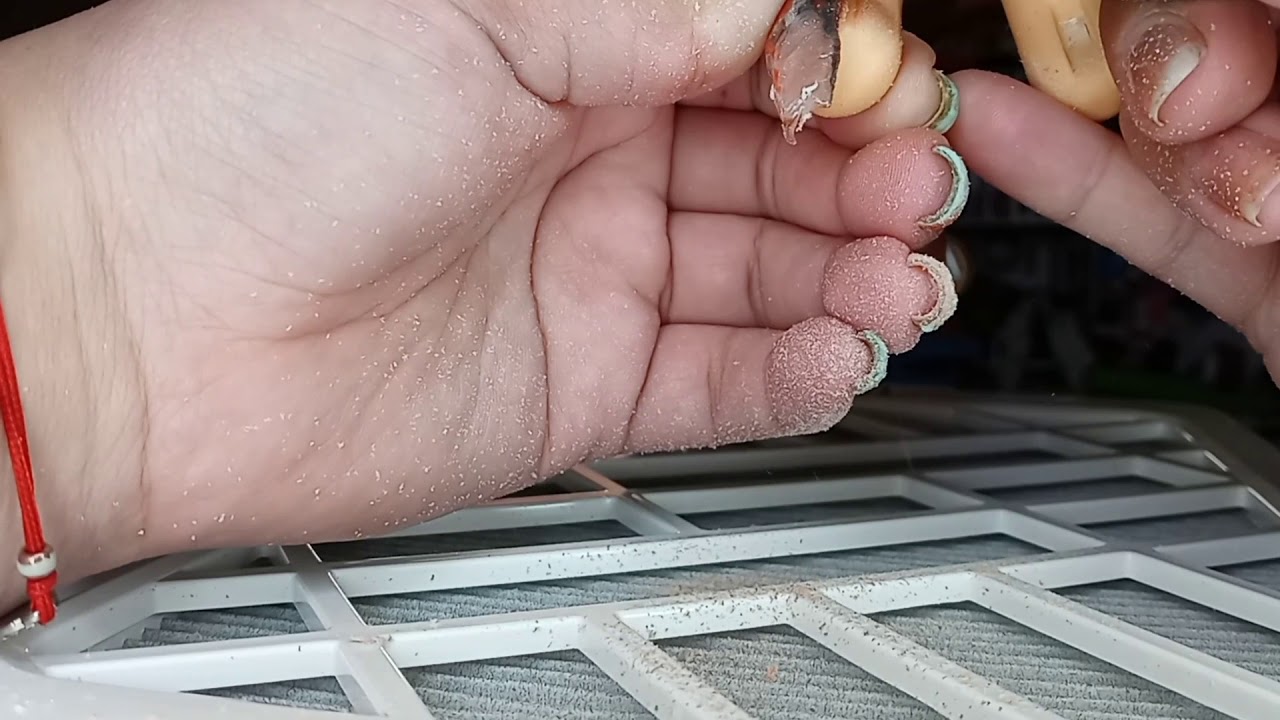 Young Nails Dust collector demo YouTube