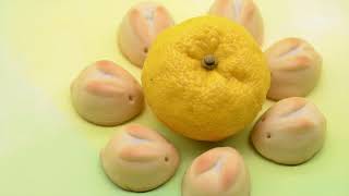 USAGI SAN 10 PCS BOX | Bunny cake | K. Minamoto
