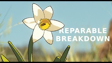 Reparable - Music Video Breakdown