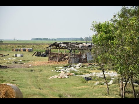 A gyanú: emberkereskedelem és kényszermunka