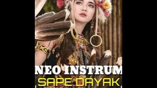 Instrument Dayak Kalimantan