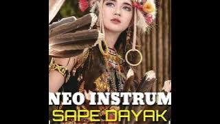 Instrument Dayak Kalimantan