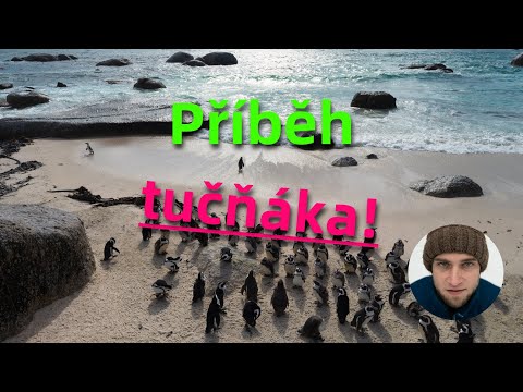 Video: Co je skutečným právem v jihoafrickém právu?