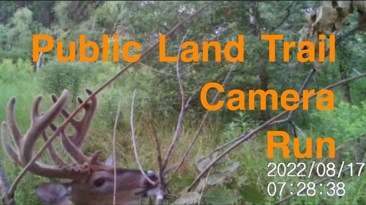 Kansas public land trail cameras. YouTube