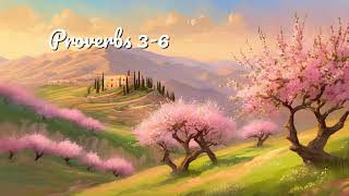Proverbs 3+ | Bible Audio | NLT