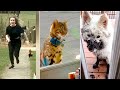 Funny Cat, Dog &amp; Animal Videos | Funny Pets Compilation - 1