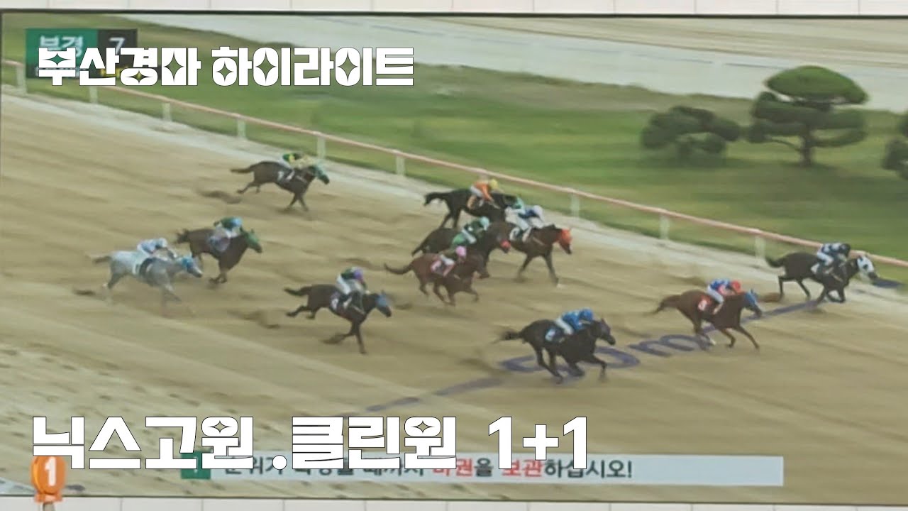 선행마가 서로만만하면 넘길만하다!(닉스고 자마 이름값하네~)