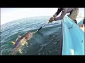 Artificiale black minnow! Rod: ripple big tuna 85 limited edition spinning al tonno
