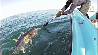 Artificiale black minnow! Rod: ripple big tuna 85 limited edition spinning al tonno