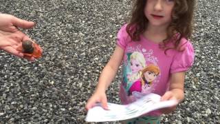 Nature Scavenger Hunt -STEM Saturday