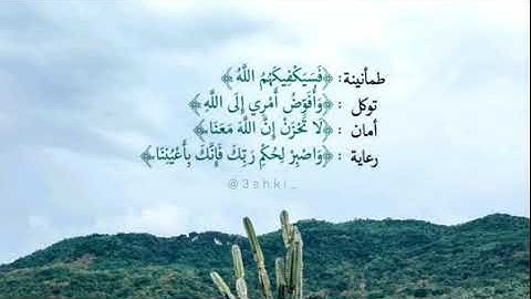 حالات واتس اب دينيه||تلاوه هادئه بصوت جميل ||مقاطع دينيه قصيره ||مقاطع انستا بدون حقوق