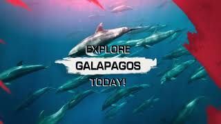 Download Lagu Galapagos | Dive Sites Around the World MP3