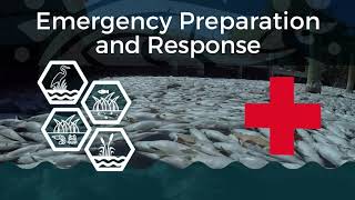 Athlete Statistics Healthy Communities: EMERGENCY PREPARATION & RESPONSE | Indian River Lagoon Vital Signs