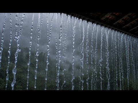Fall Asleep Fast! Real Heavy Rain in a Tropical Village (No Ads) | Deep Sleep