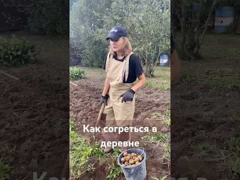 #деревня #загородныйдом #природа #лето #приколы #картошка #шортс #блог #жизнь #здоровье #работа