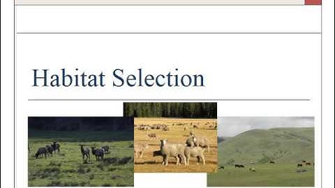 Habitat Selection