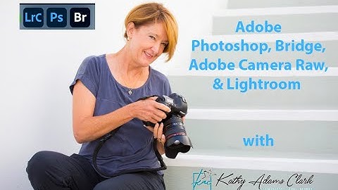 Lesson 1 Bridge Organization