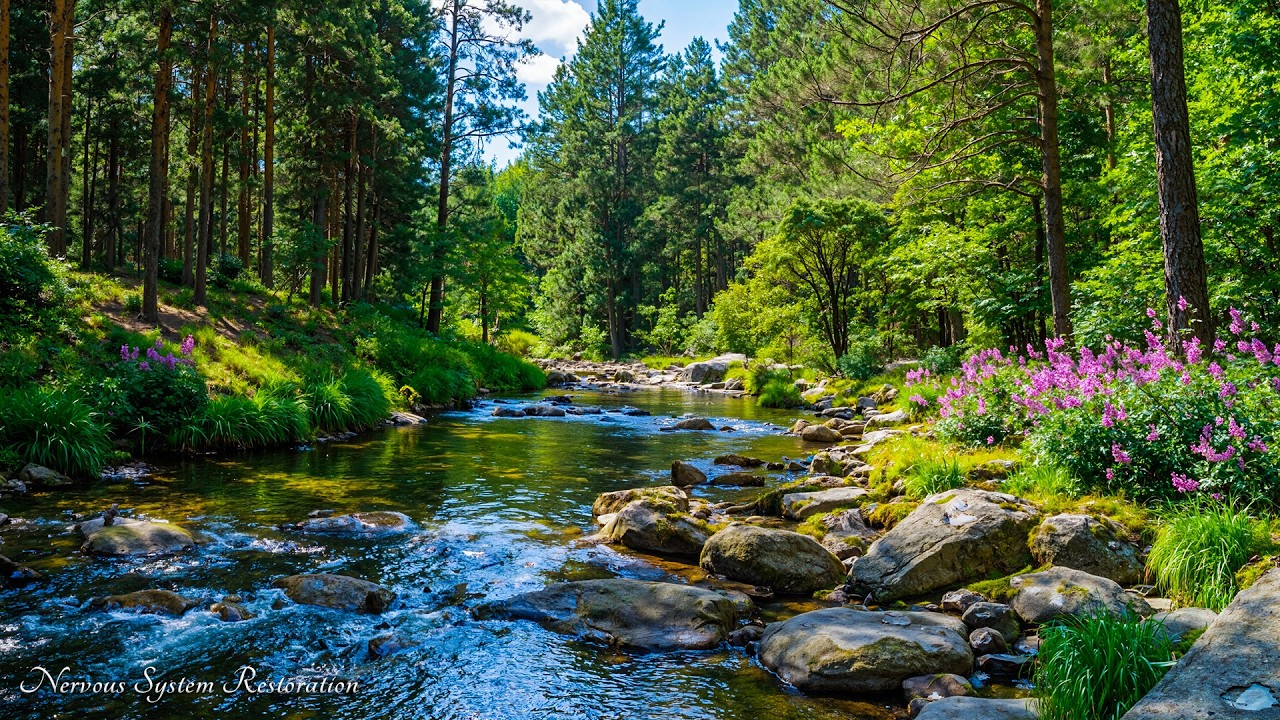 Deep Healing Music 🌿 Restore Your Nervous System & Find Inner Peace | NerveRest