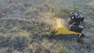 Remote Control Flail Mower removing gorse grass!