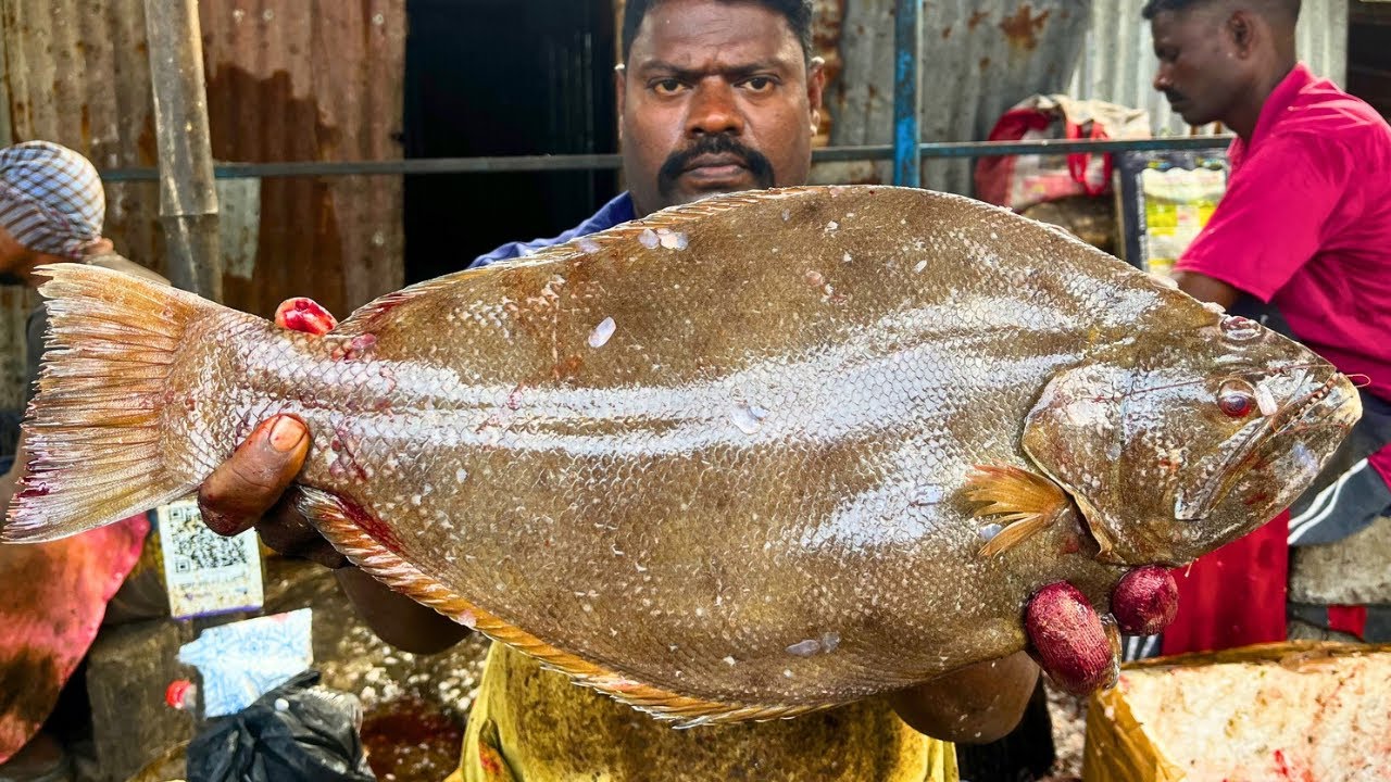 KASIMEDU 🔥 SPEED SELVAM | SOLE NAAKKU FISH CUTTING VIDEO | FF CUTTING 🔪