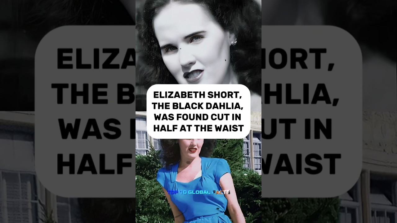 The Mystery of the Black Dahlia: Hollywood’s Unsolved Case 🕵️‍♂️ 