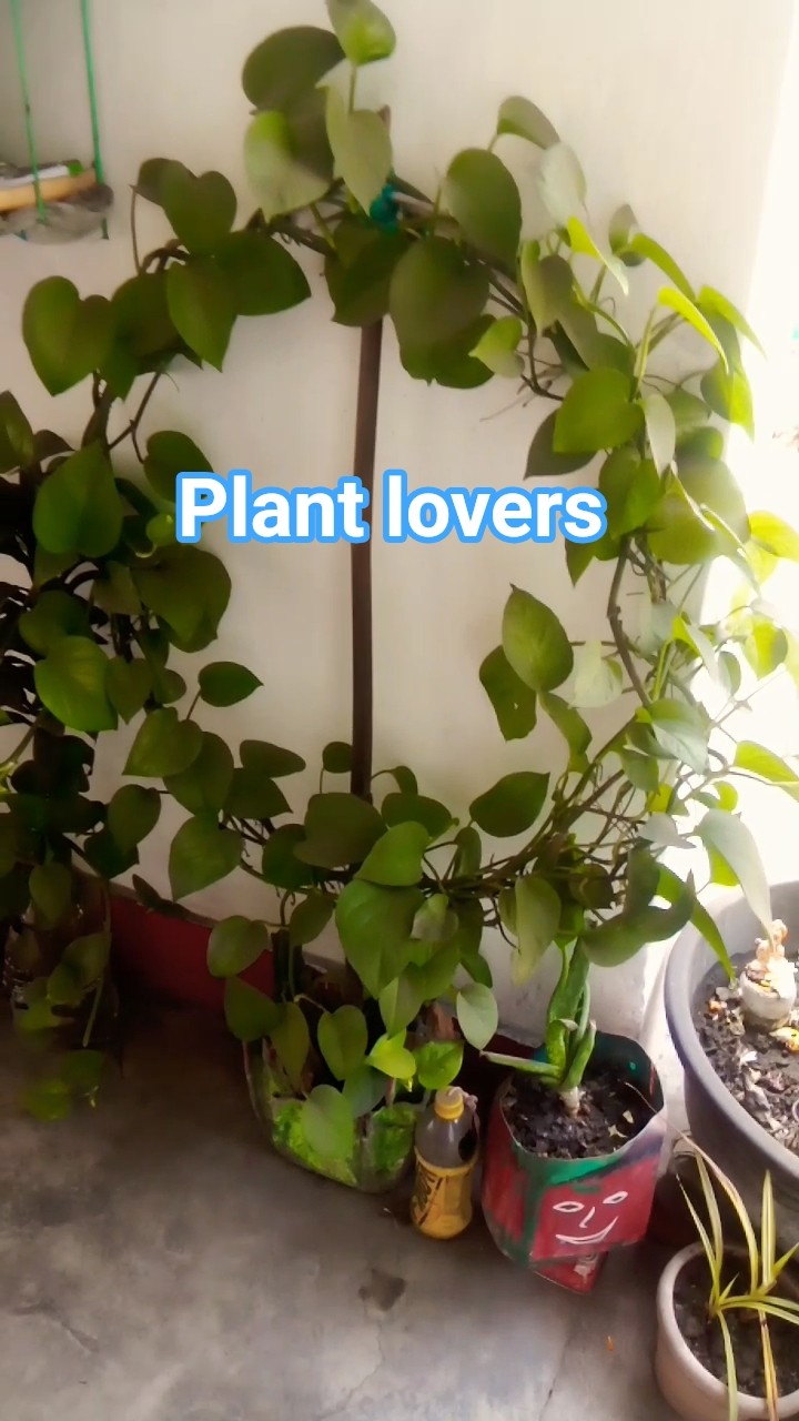 🏡मेरी जीवन शैली - ShareChat