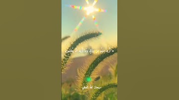 الشيخ محمد عبد الوهاب الطنطاوى. نوادر روعه اجمل ما قراء ممتاز جدا نادر. رحمه الله #تلاوات
