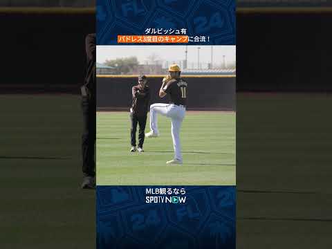 【MLB】ダルビッシュ有 、キャンプ地に登場！ #mlb #shorts # #野球 #spotvnow #baseball