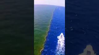 unbelievable on Ocean #shorts #ocean