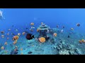Snorkeling with the 360 x 8