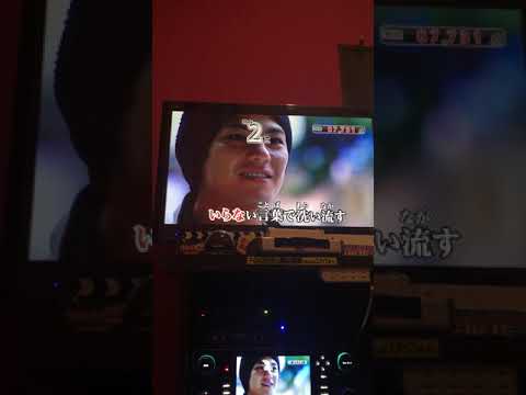 P-MODEL Another day 歌ってみた