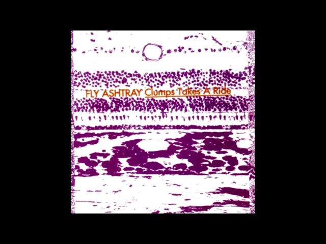 Fly Ashtray - Clumps Takes A Ride (1992) - YouTube