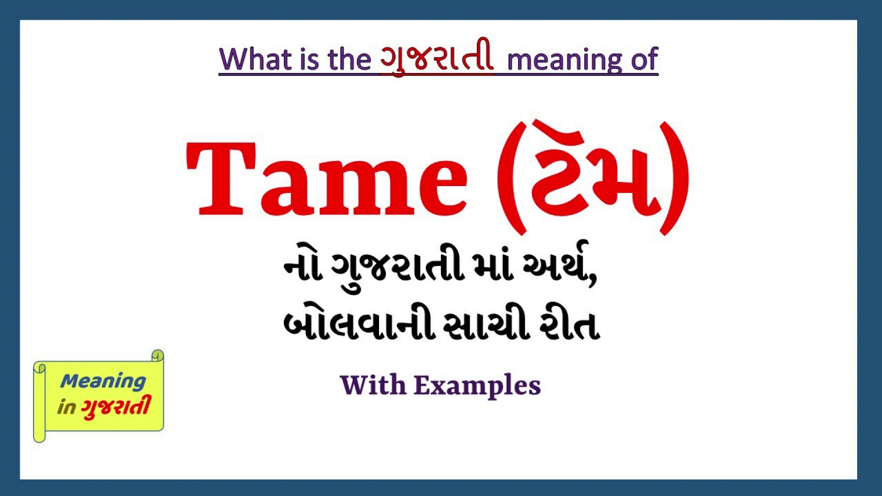 Tame Meaning In Gujarati Tame No Arth Shu Che Tame In Gujarati tame-meaning-in-gujarati-tame-no-arth-shu-che-tame-in-gujarati