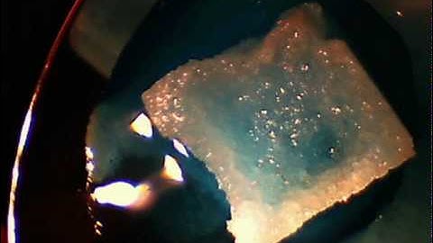 sugar cube time lapse