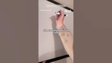 Why are Some People Left Handed and Some Right Handed?