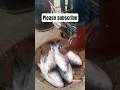Today’s Big Fish Harvest Surprise!# short vedio# #fishing cox