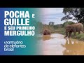 Pocha e Guille e seu primeiro mergulho no lago