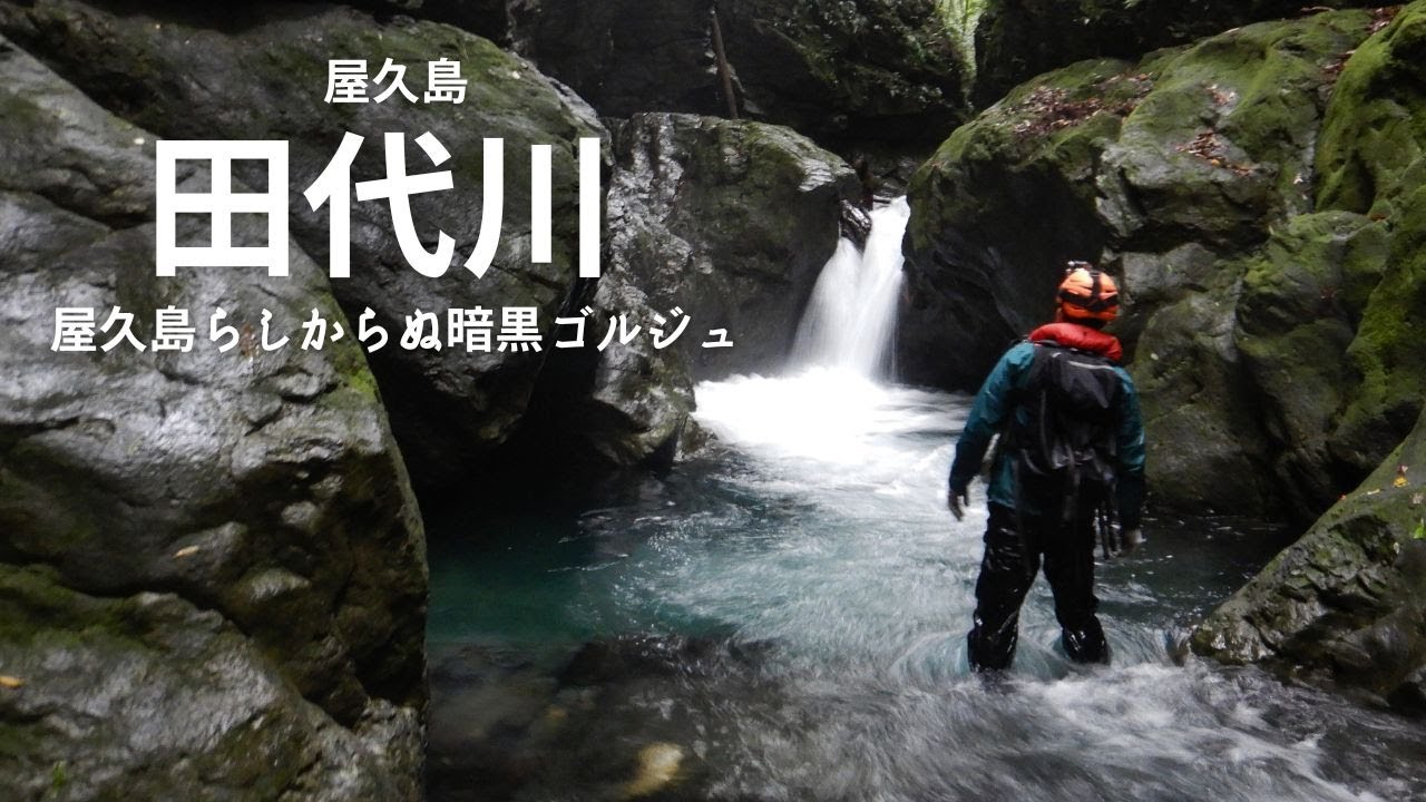 屋久島のダークな一面を垣間見れる沢？！：田代川【沢登り】