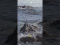 Prueba esto 60s tu pulso al ritmo del mar