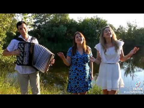 Фольклорный ансамбль воля. Песня ой моя моя красивая. Разрывная некоглая текст. Фольклорные ансамбли из воронежа. Мимимамому обложка песни.