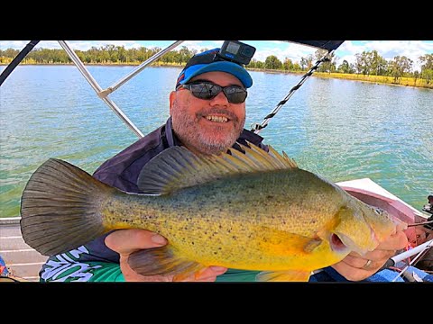 Yellowbelly and Australian Bass Fishing