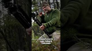 Is It Real or are They All Hoaxes | Les Stroud