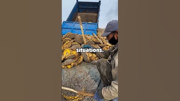 Veterans, is a civilian wearing a relative