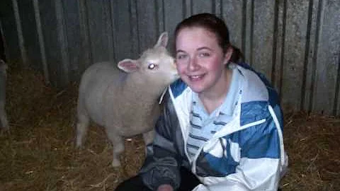 Little Ewe Farm ... Nearly a year : )